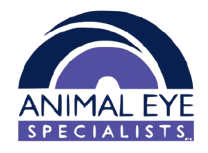 animal-eye-specialists-800×420-removebg-preview it yall